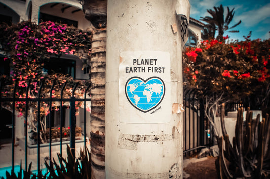 5 Climate Change Stories You Probably Missed in 2021