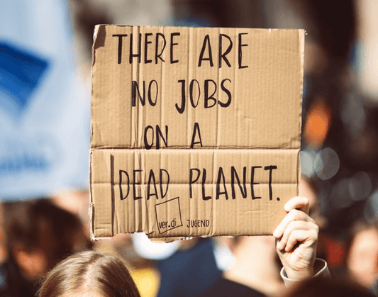 Climate Crisis Placard "There are no jobs on a dead planet"